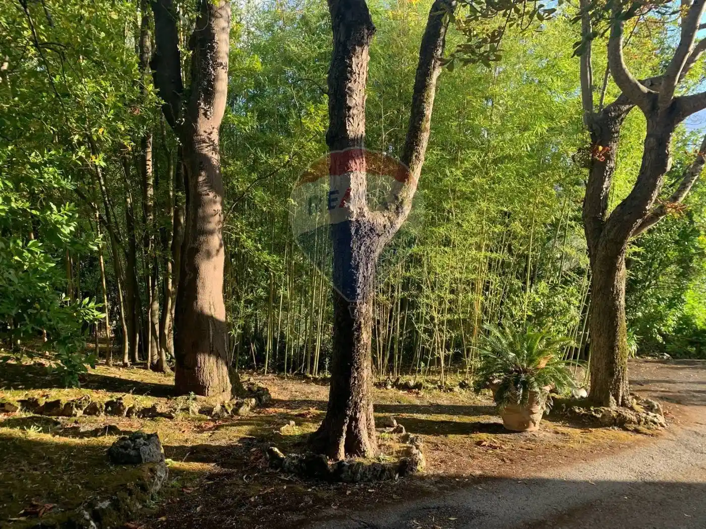 Villa unifamiliare, buono stato, 550 m², Monteluce - Ponte Rio, Perugia - foto 2