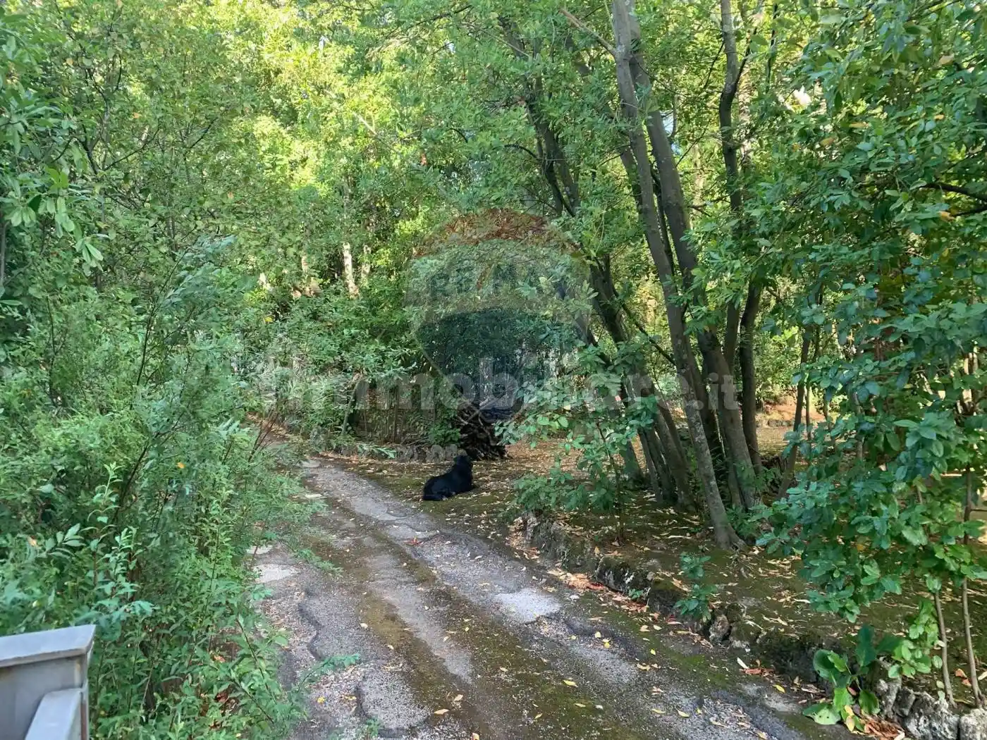 Villa unifamiliare, buono stato, 550 m², Monteluce - Ponte Rio, Perugia - foto 3