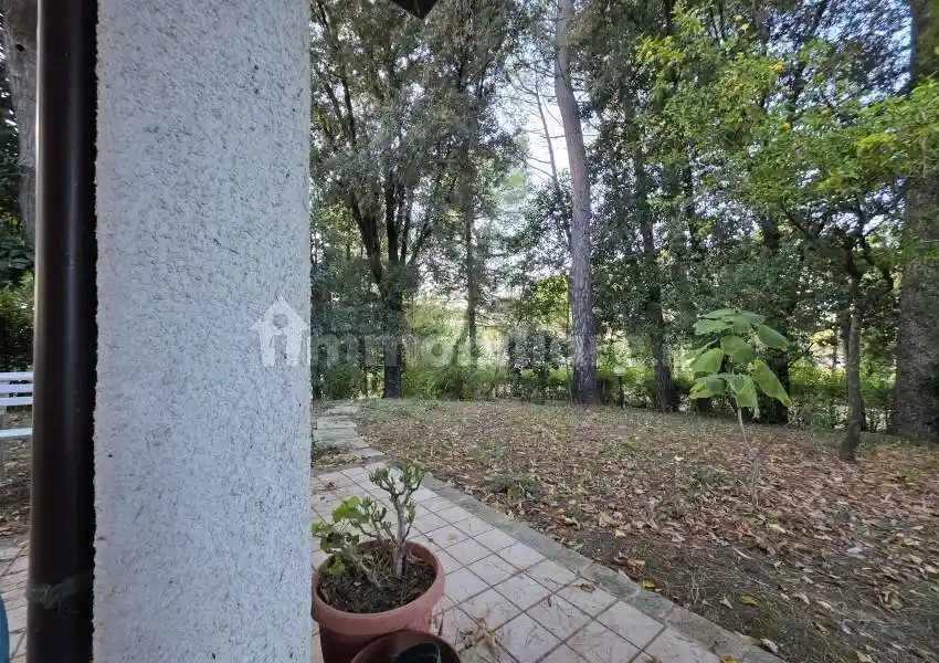 Villa a schiera 4 locali, ottimo stato, Santa Maria dell'Arzilla, Pesaro - foto 4