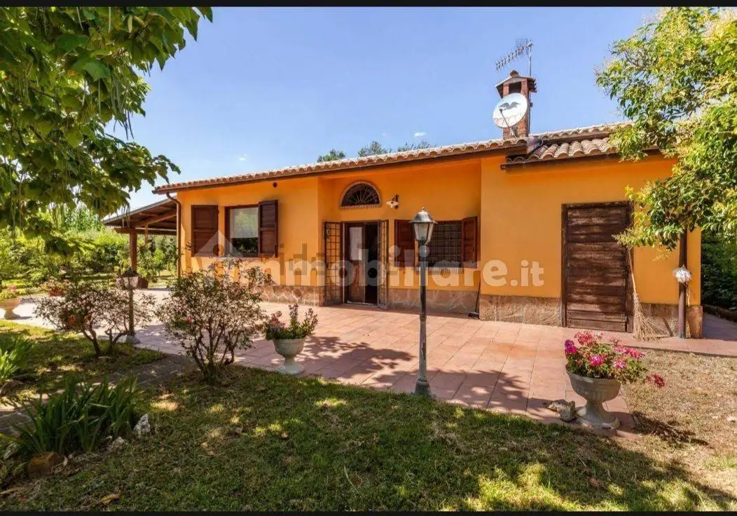 Rustico - Casale in vendita a Canino