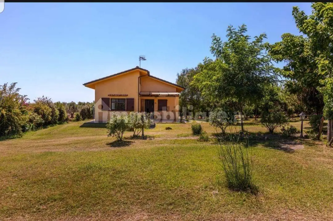 Casale Strada Statale Castrense, Canino - foto 2