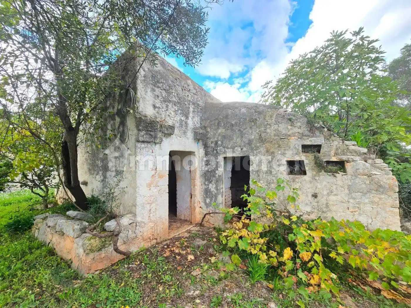 Rustico - Casale in vendita a Ceglie Messapica