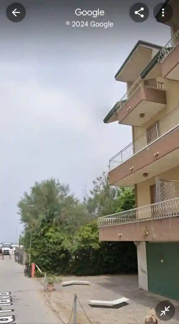 Palazzo - Edificio - foto 4