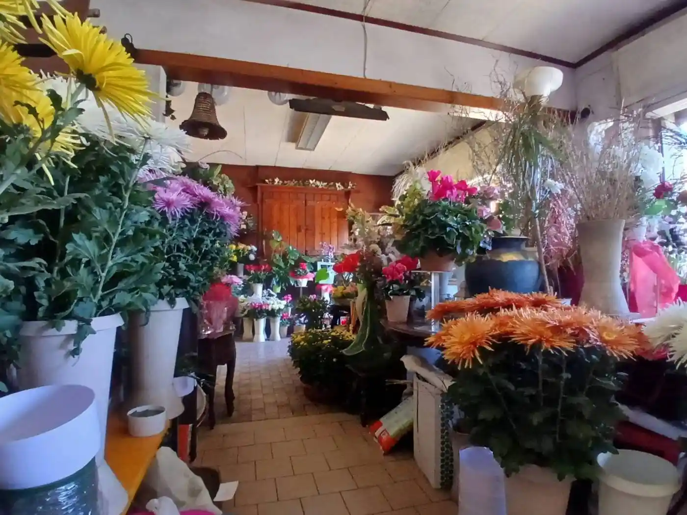 Palazzo - Edificio in Vendita - foto 4