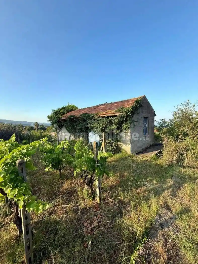 Rustico - Casale in vendita a Zafferana Etnea
