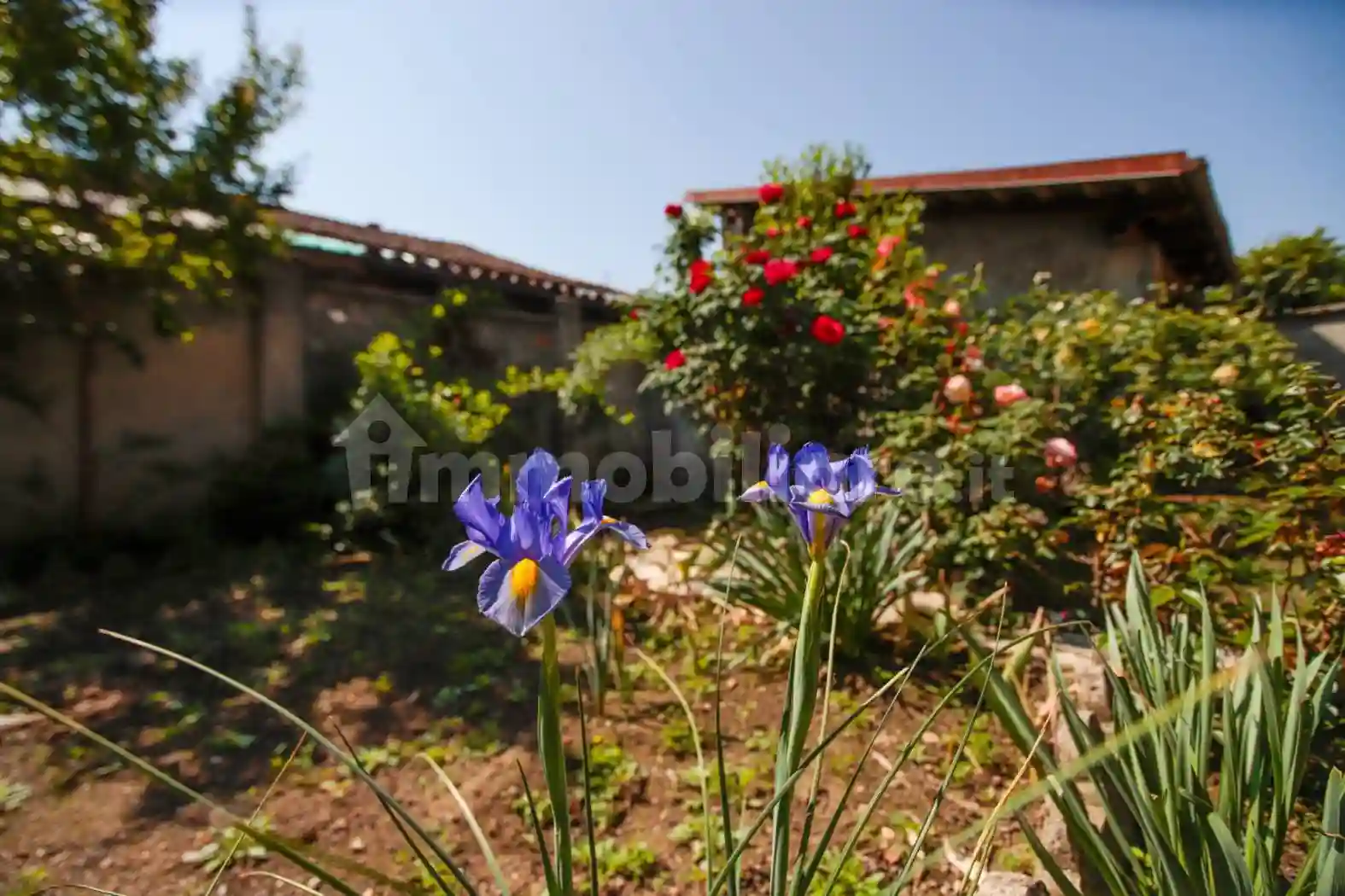 Casa indipendente - foto 5