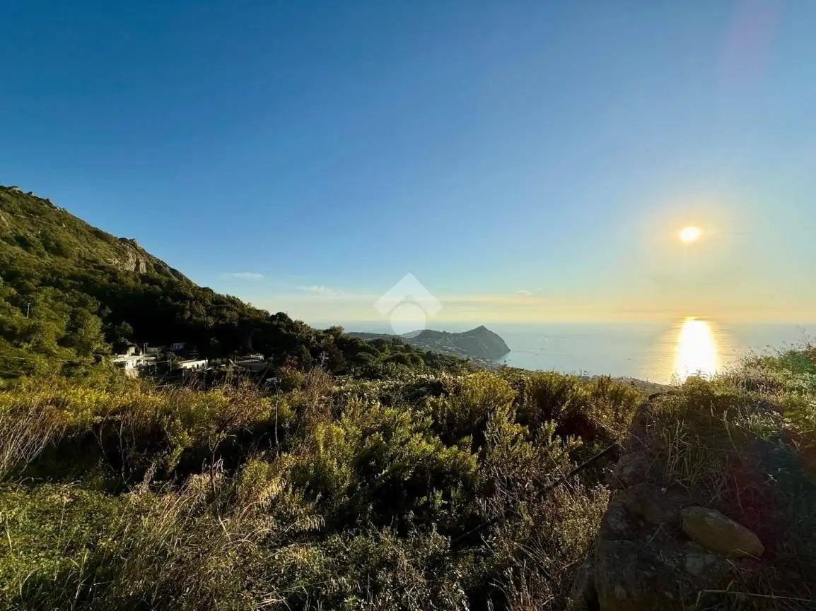 Appartamento in vendita a Forio