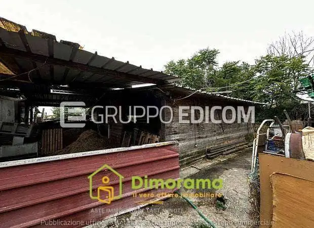 Appartamento in asta a Massa