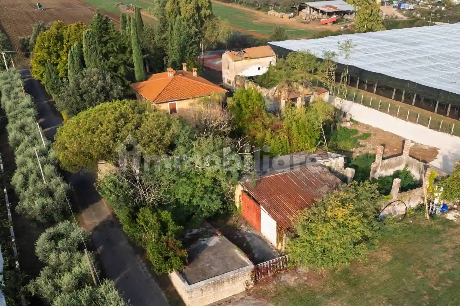 Rustico - Casale - foto 3