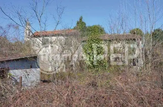Casa indipendente in asta a San Pietro in Gu