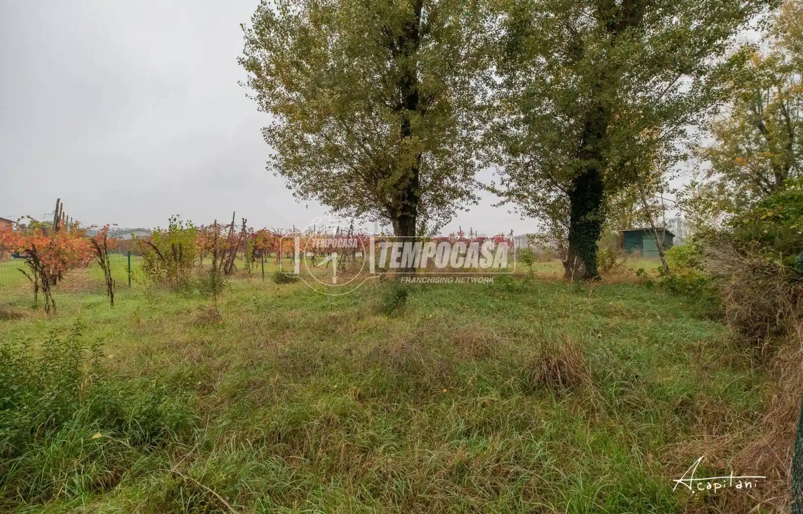 Rustico Strada Lesignana 43, Ganaceto - Lesignana, Modena - foto 4