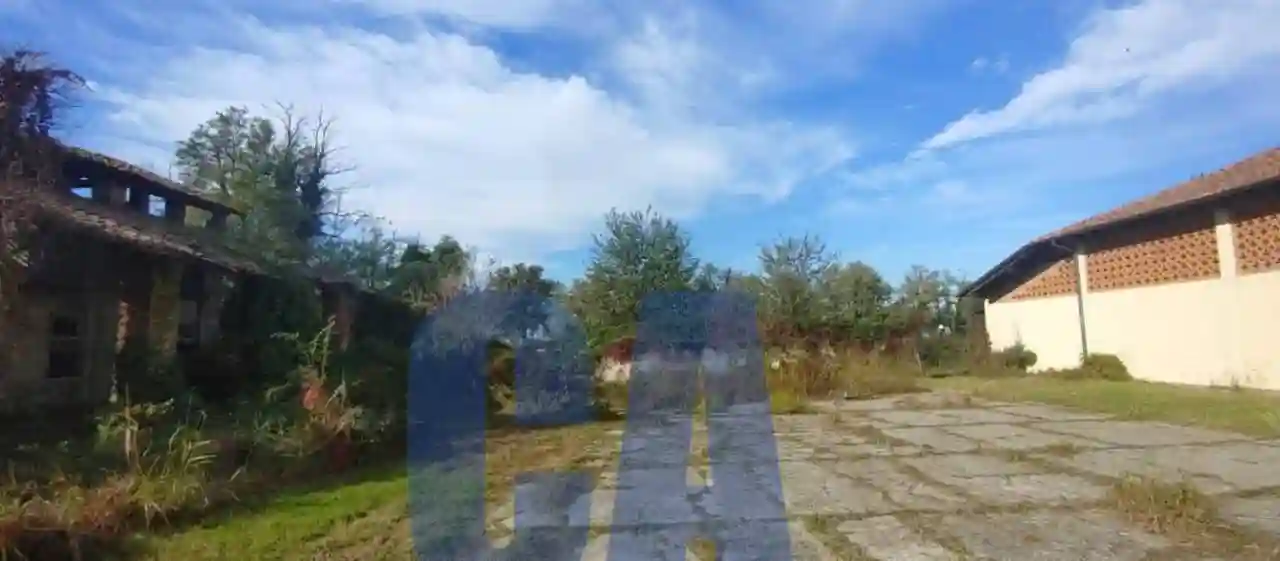 Palazzo - Edificio - foto 4