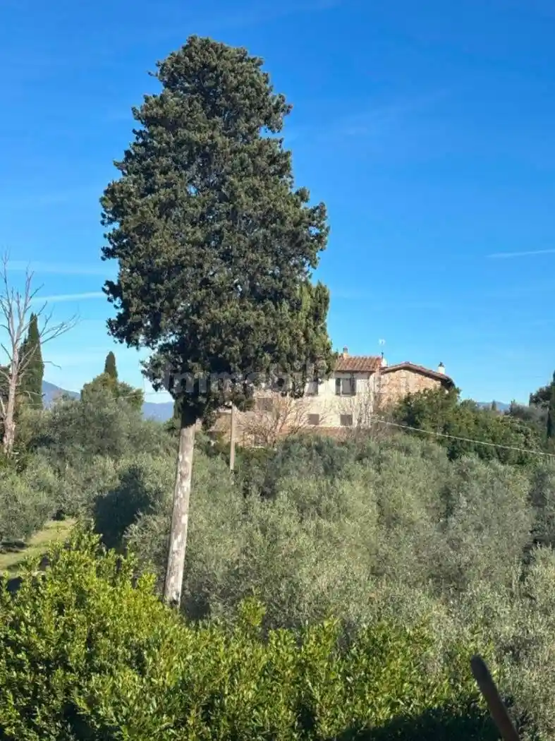 Villa in affitto a Scandicci