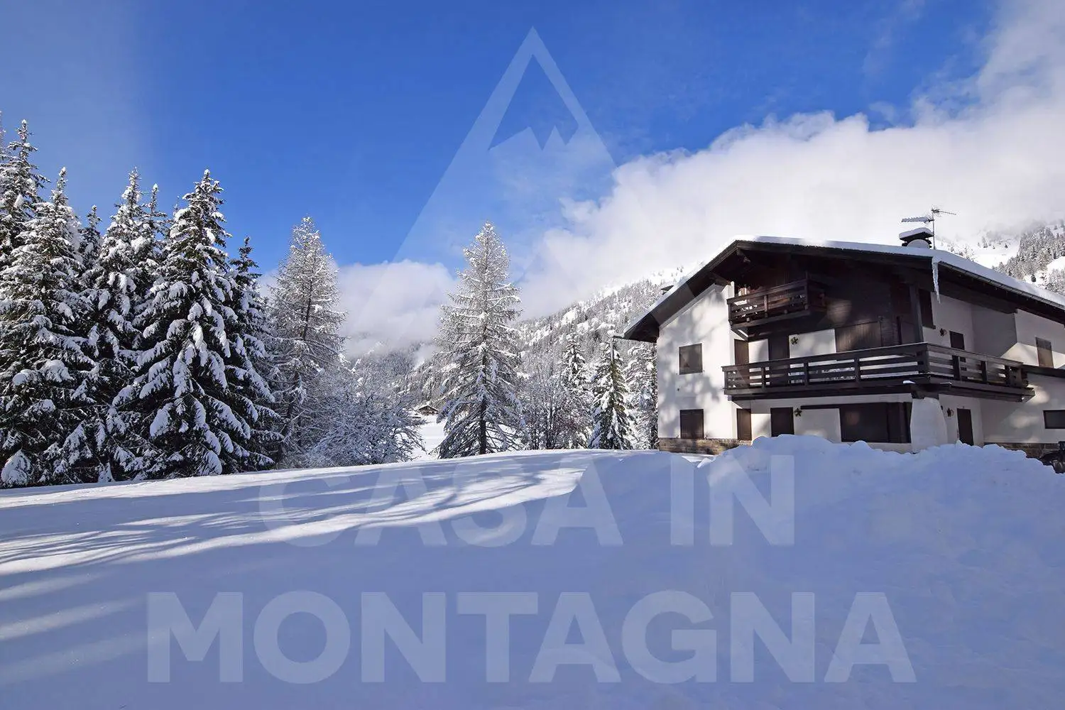 Appartamento in affitto a Predazzo