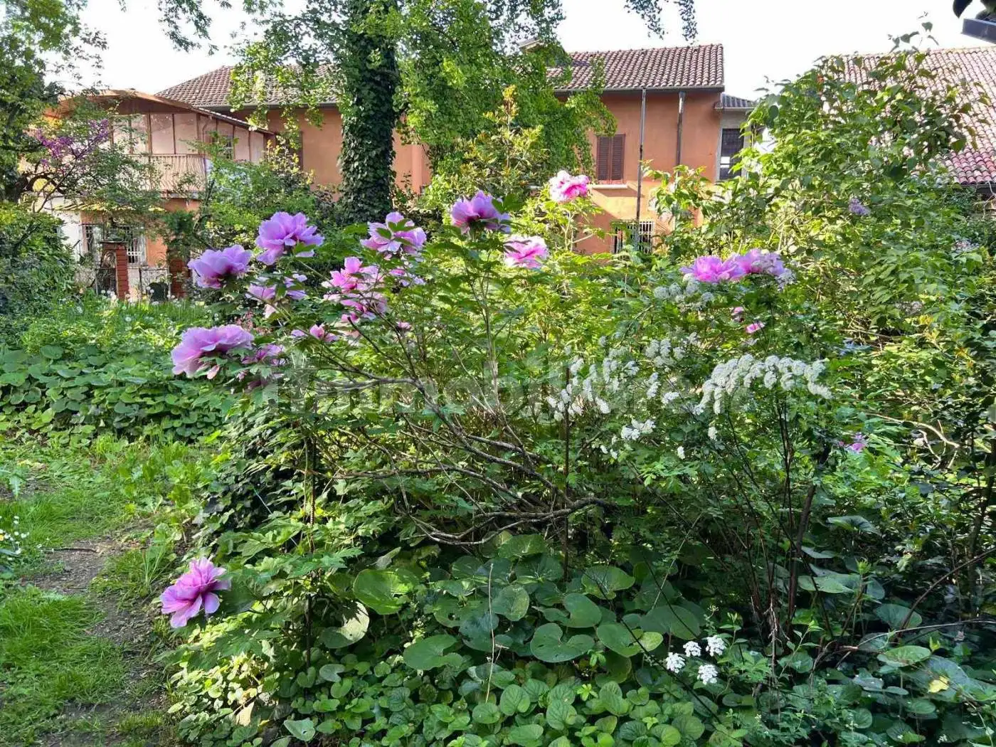 Villa in vendita a Mulazzano