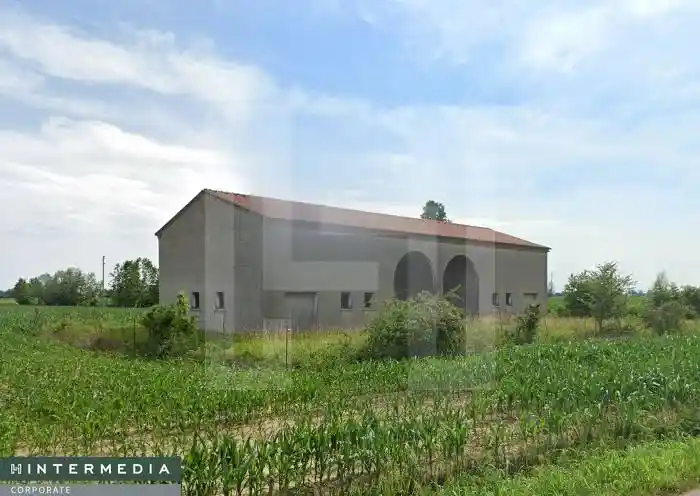 Rustico via Molinella, Mira Taglio, Mira - foto 4