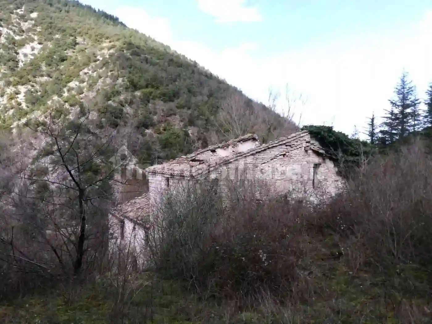 Rustico - Casale - foto 3