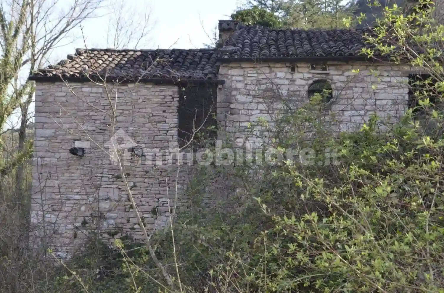 Rustico - Casale - foto 4