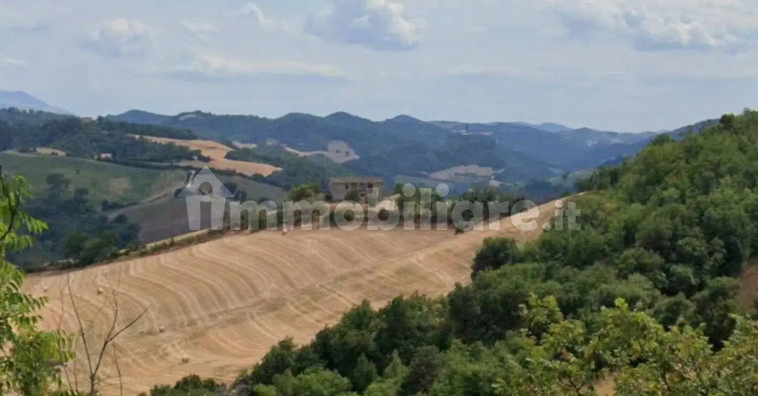 Rustico - Casale in vendita a Sassocorvaro Auditore