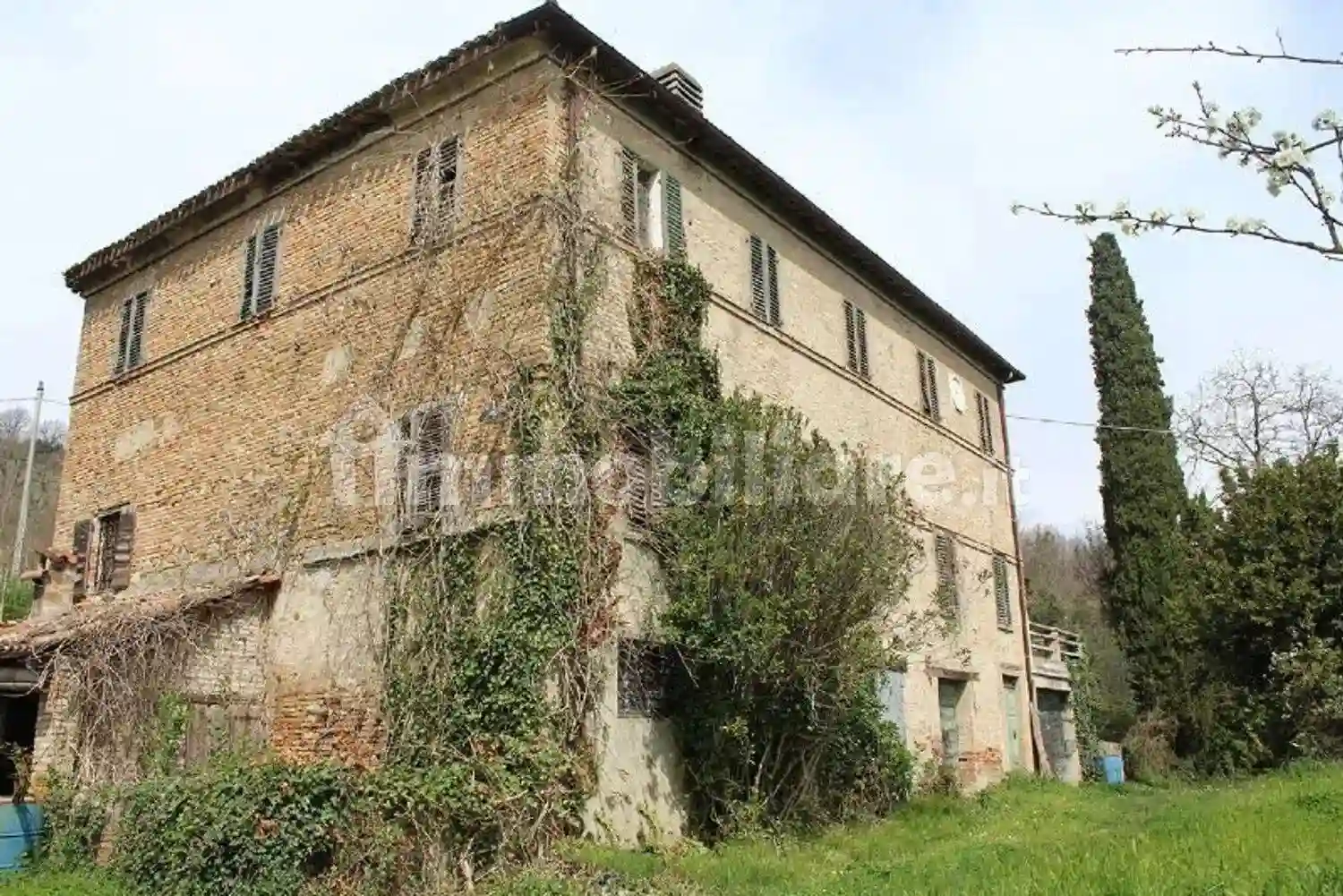 Rustico - Casale - foto 4