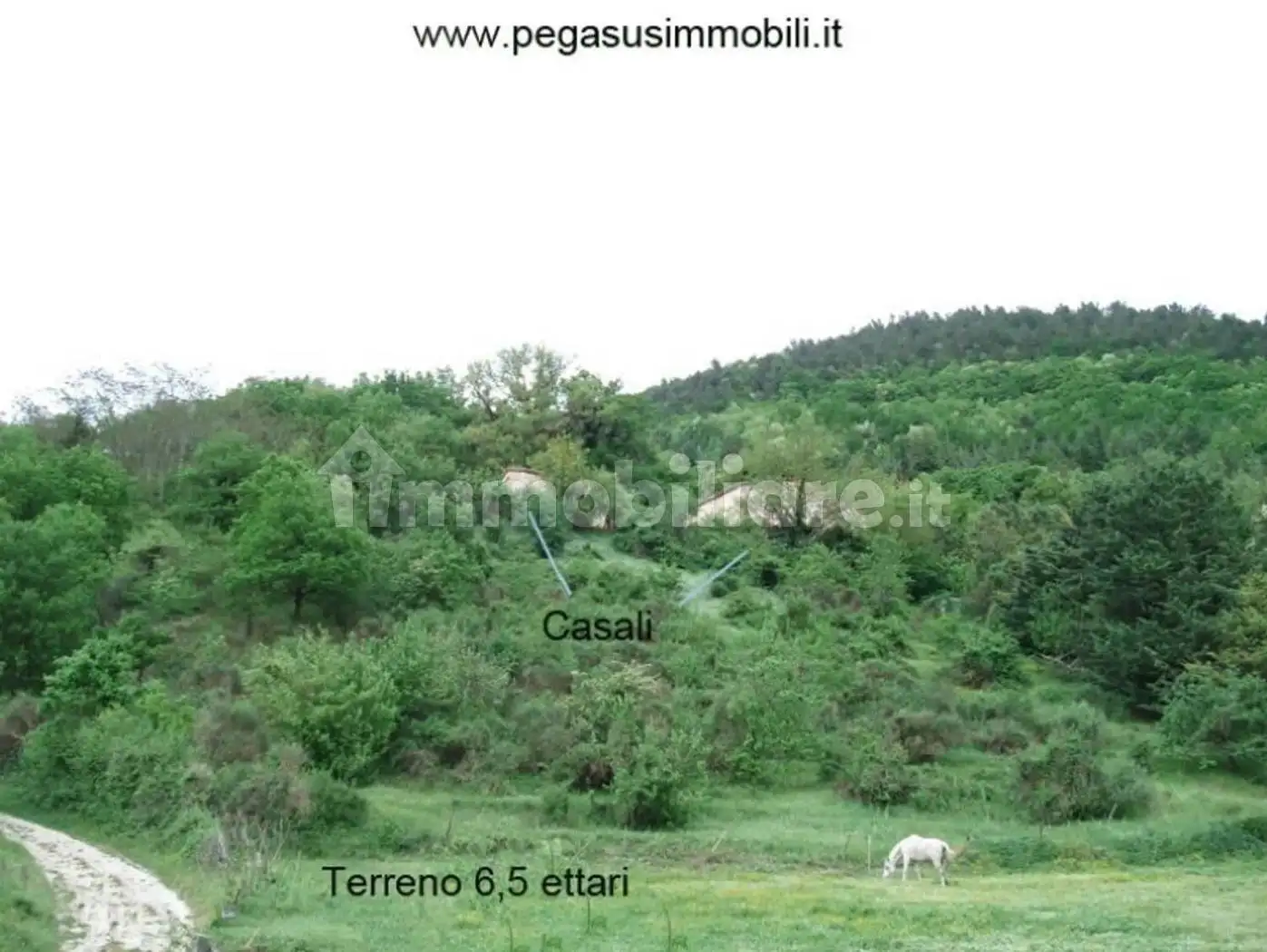 Rustico - Casale in vendita a Piobbico
