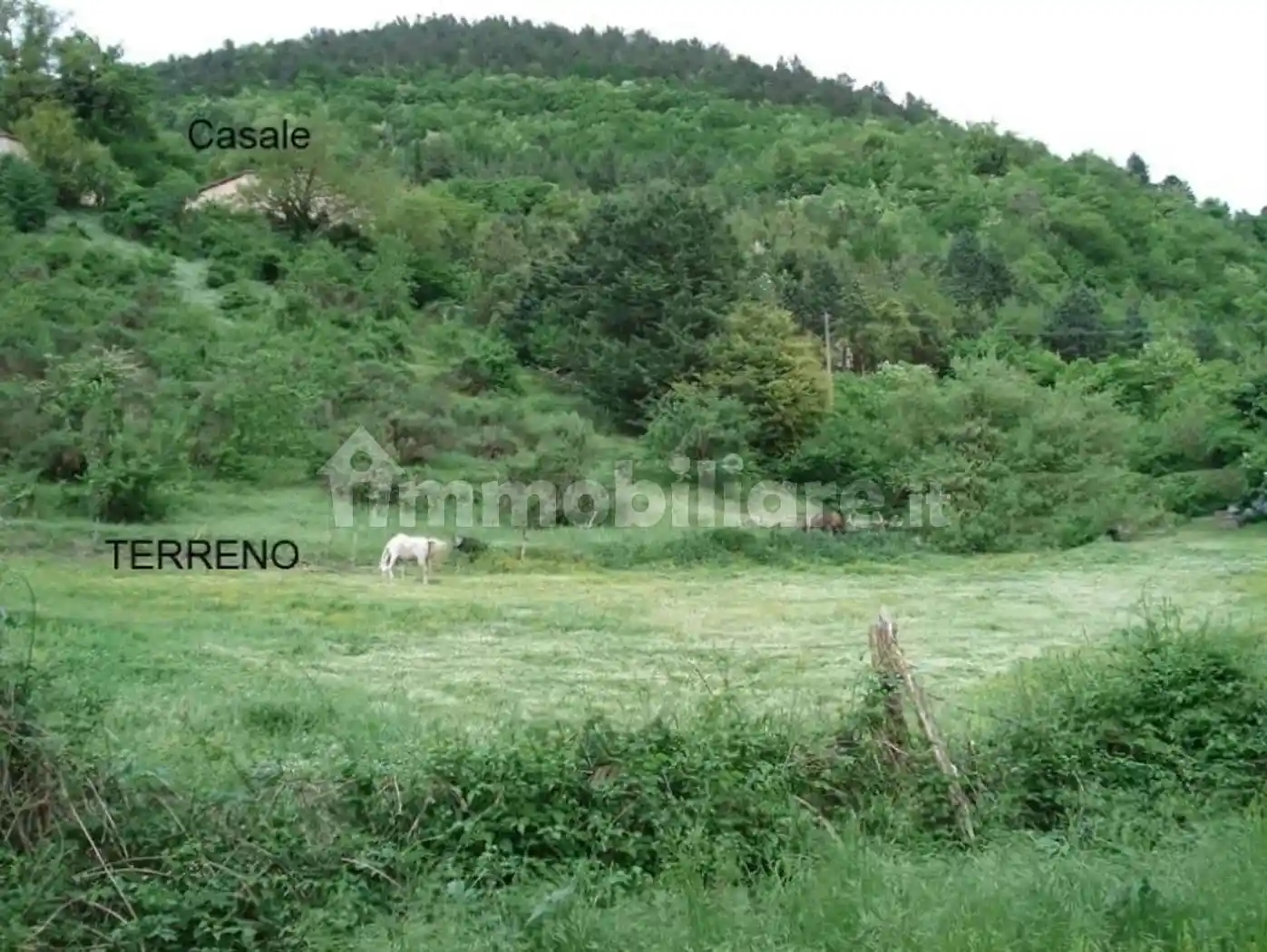 Rustico - Casale - foto 2