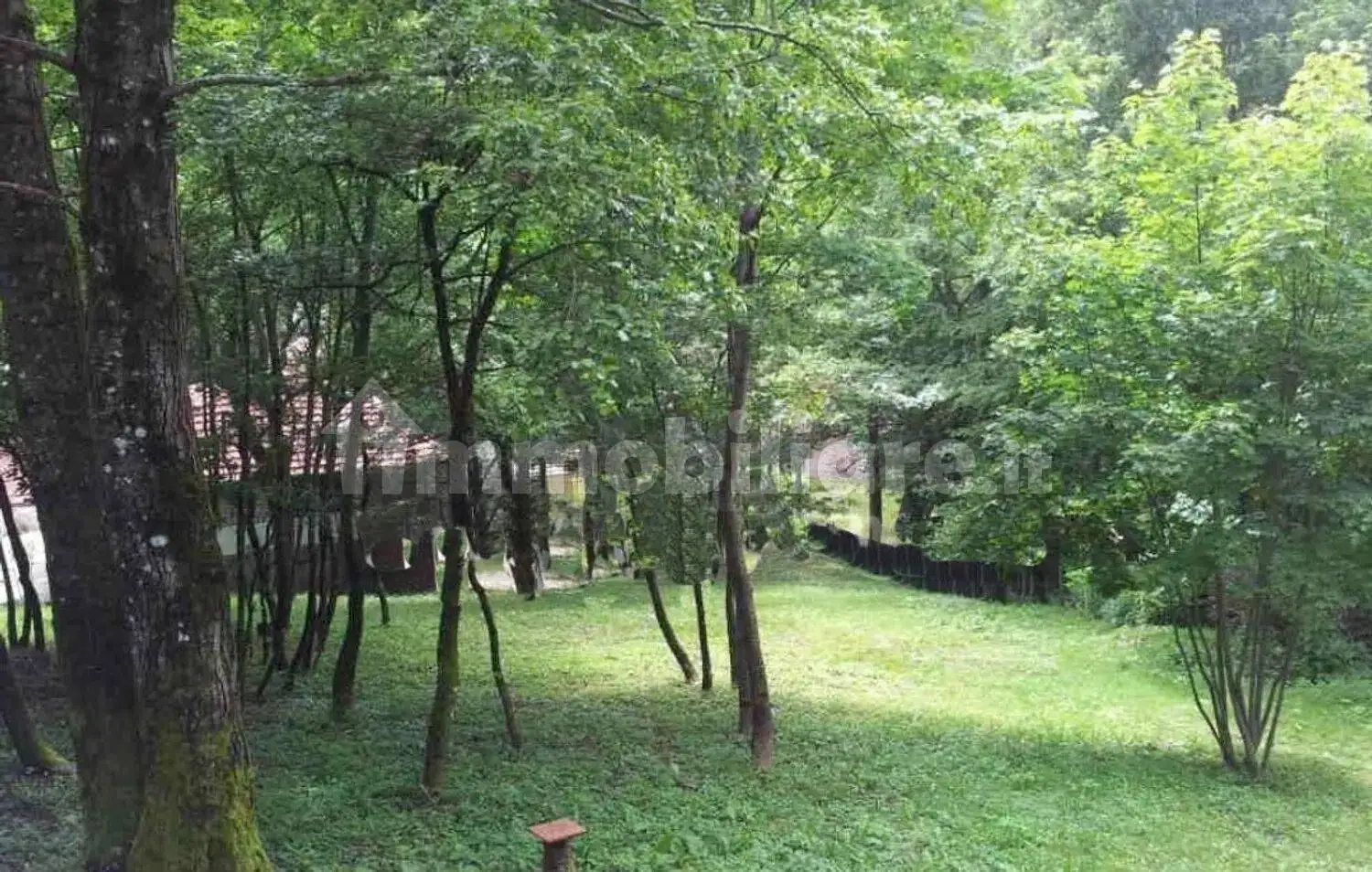 Chalet via Monte San Lorenzo, Borgo Pace - foto 5