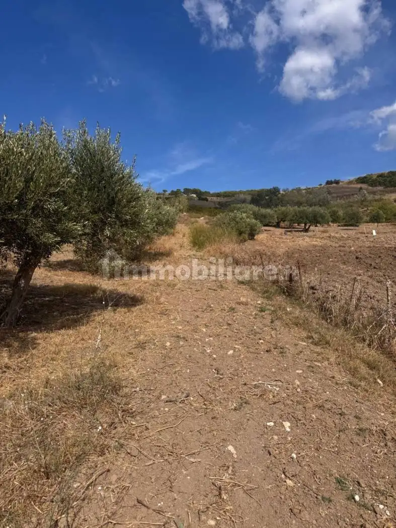 Rustico via Pietro Toselli, Centro, Buseto Palizzolo - foto 5