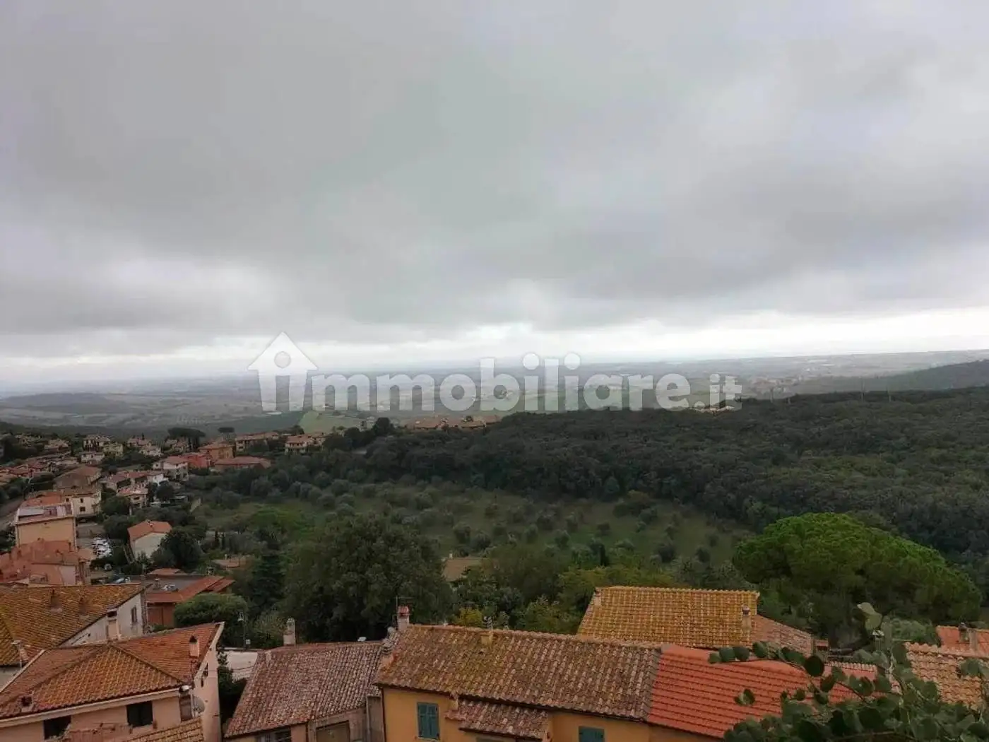 Appartamento in affitto a Capalbio