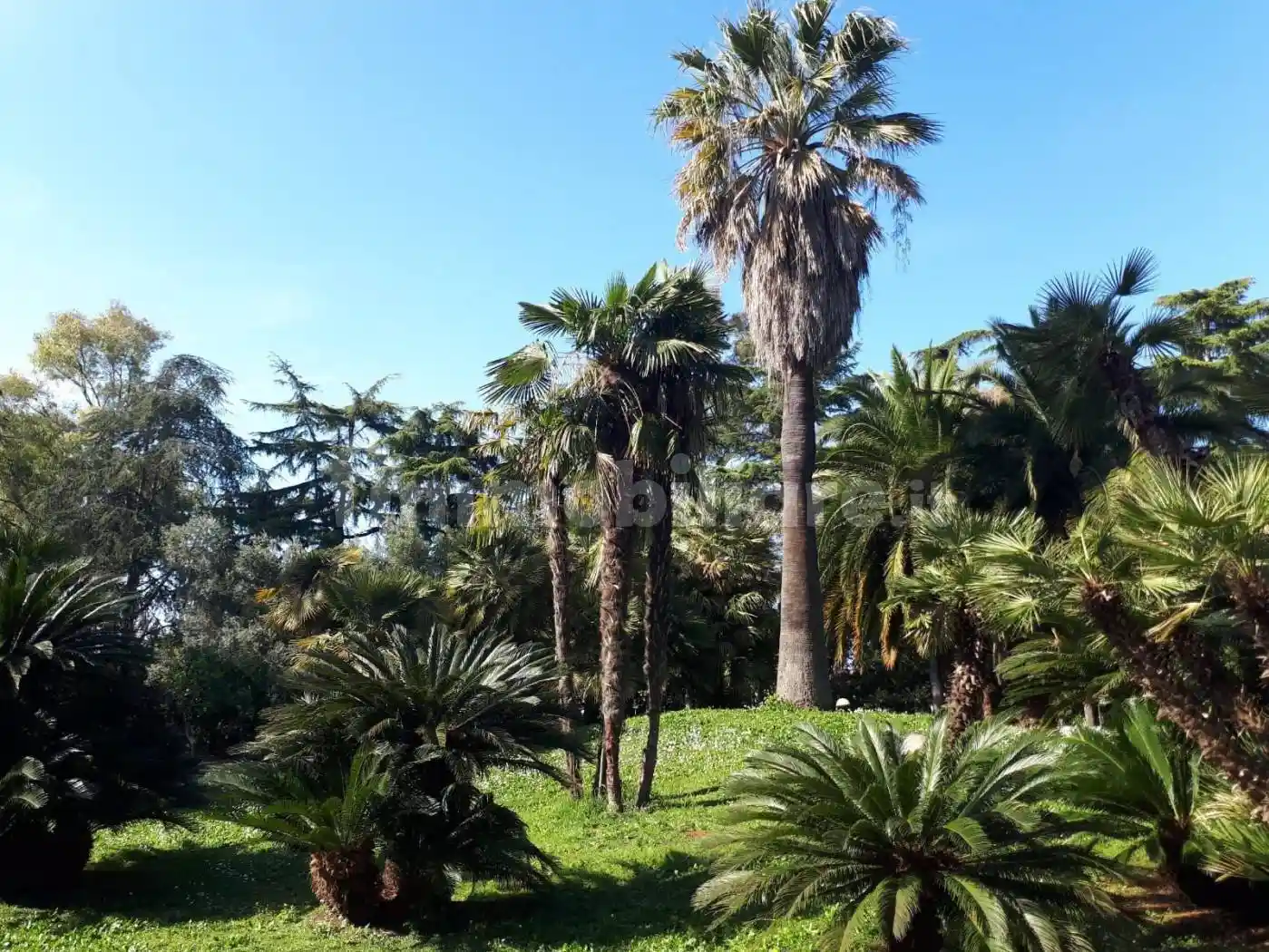 Bilocale via Massimo Meliconi, Mostacciano, Roma - foto 2