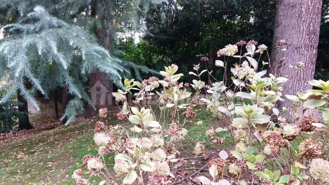 Rustico - Casale in vendita a Cesena