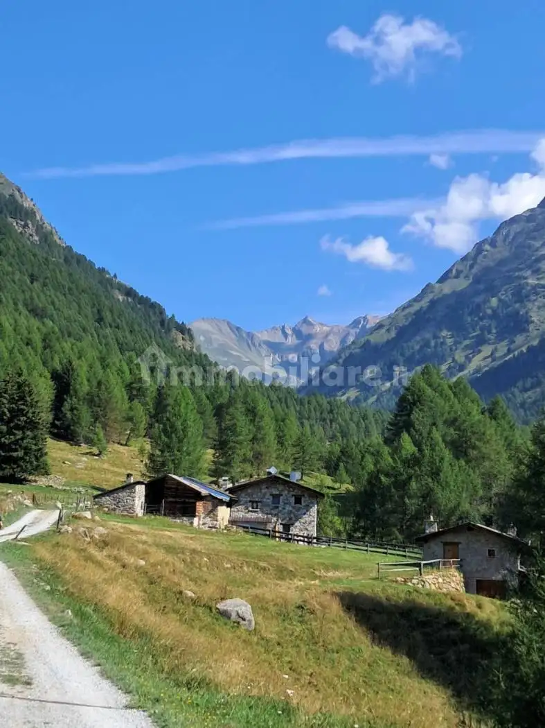 Attico - Mansarda in affitto a Vezza d'Oglio