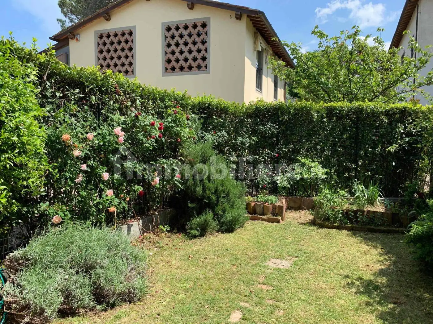 Appartamento in affitto a Firenze