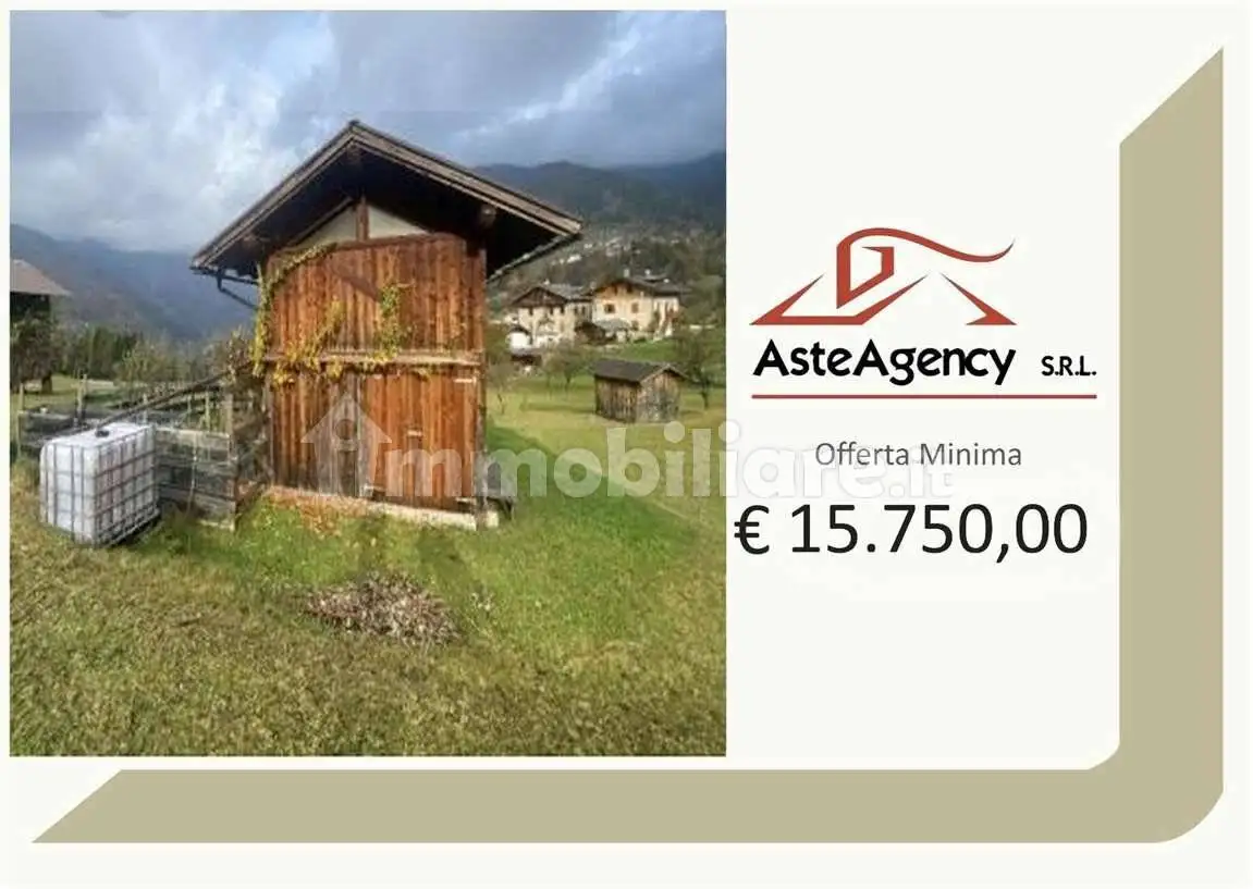 Rustico - Casale in asta a Canal San Bovo