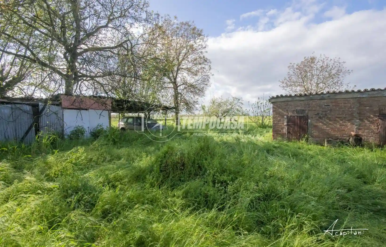 Palazzo - Edificio - foto 3