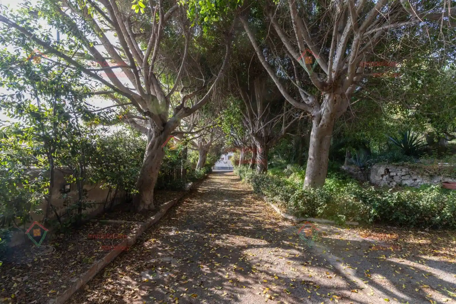 Monolocale via Tica, Tica - Zecchino, Siracusa - foto 2