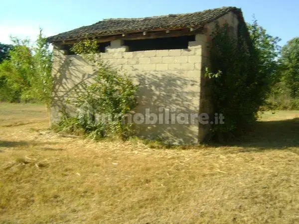 Casale via Colle Tassetano, Ceprano - foto 3