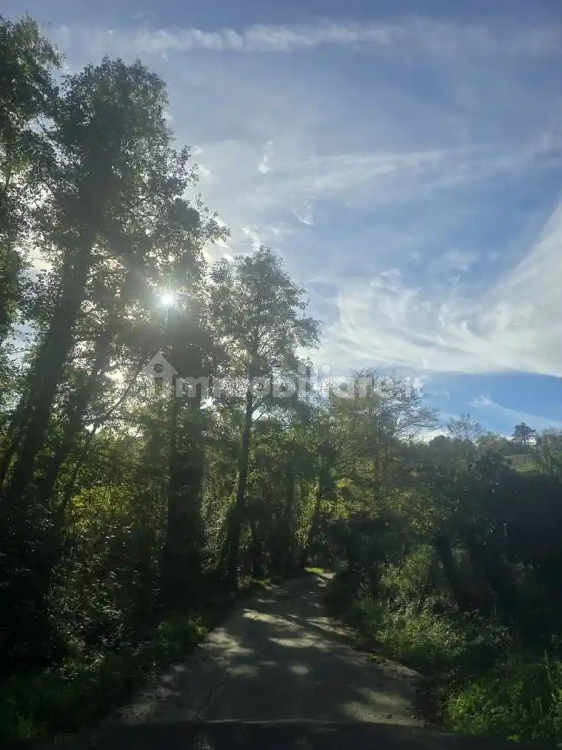Casa colonica via Superiore dell'Olba, Vesima - Crevari, Genova - foto 4