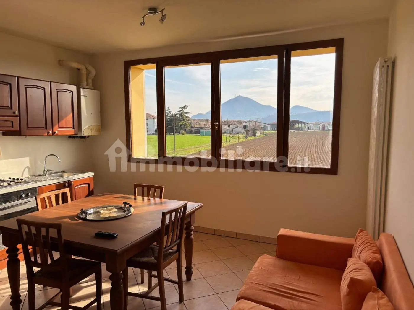 Appartamento in affitto a Albettone