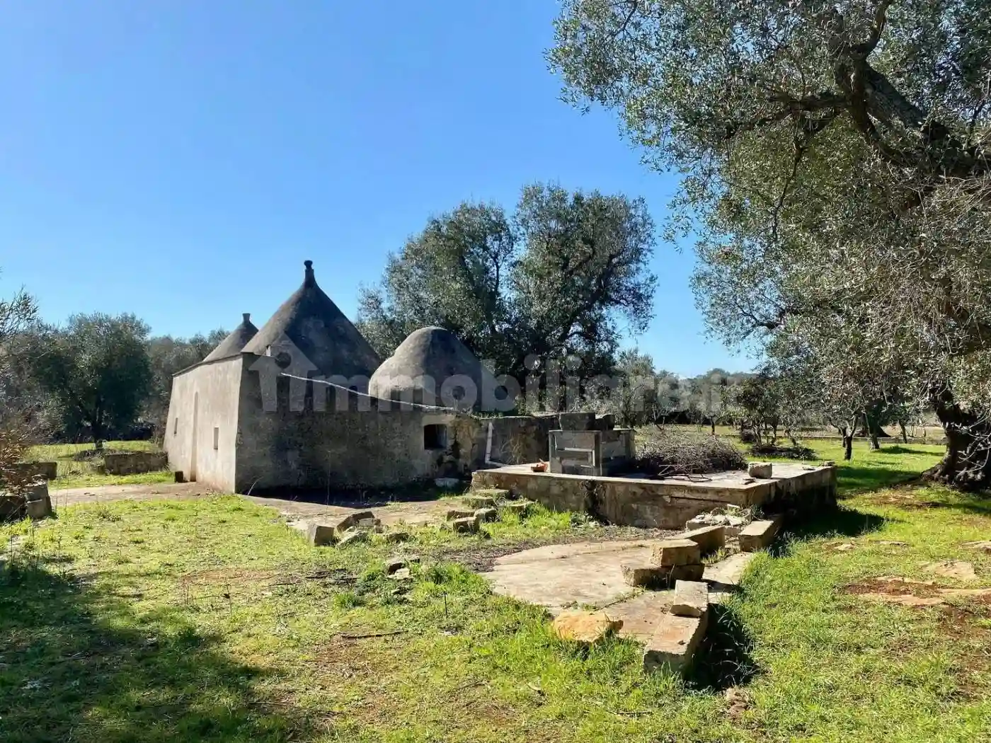 Rustico - Casale - foto 3