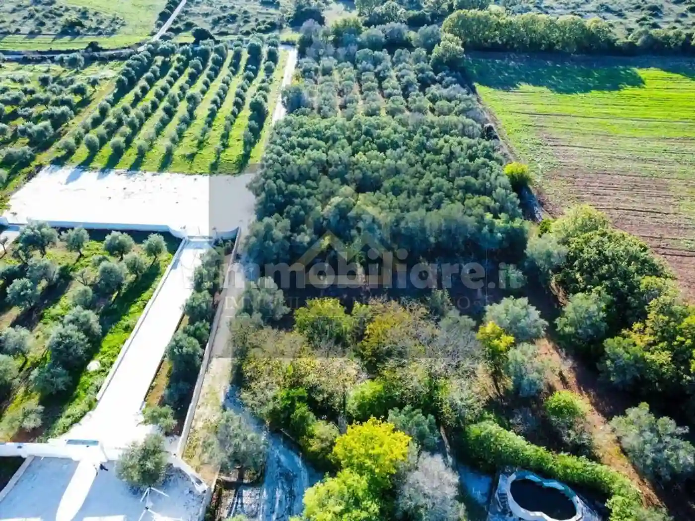 Rustico - Casale - foto 5