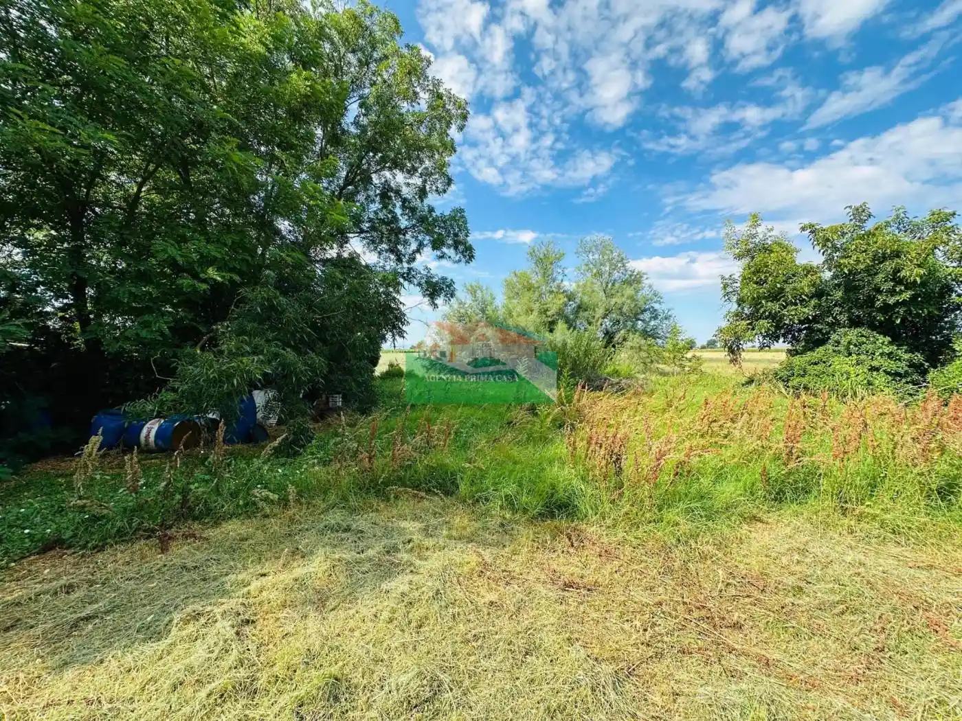 Casale via Viazza di Sotto, Borgo Montone - San Marco, Ravenna - foto 3