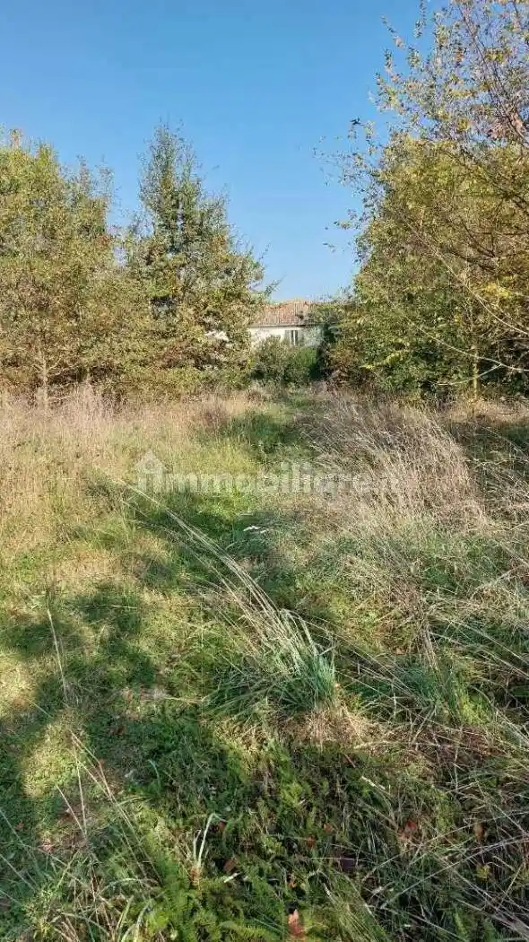 Casa colonica via Matalardo, Ponte Pietra - Case Frini, Cesena - foto 2