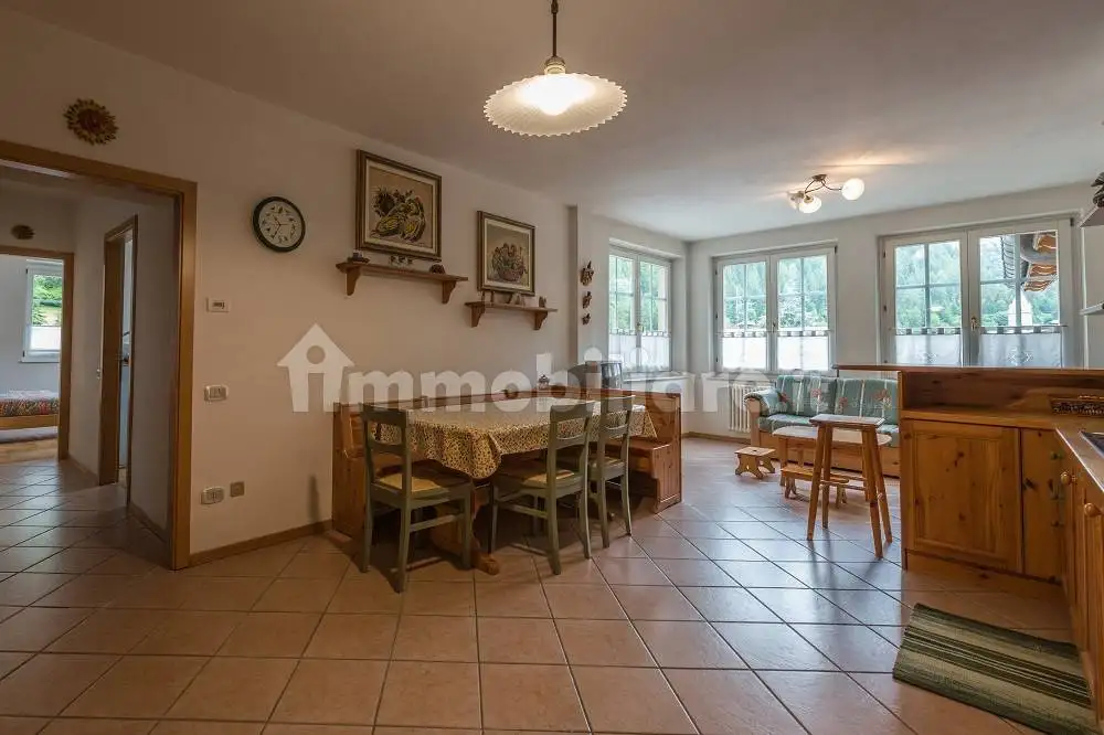 Appartamento in affitto a Peio