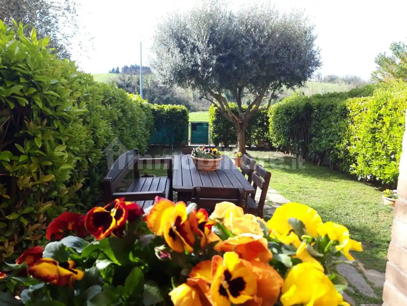 Terratetto unifamiliare Strada dei Guazzi, Santa Maria dell'Arzilla, Pesaro - foto 2