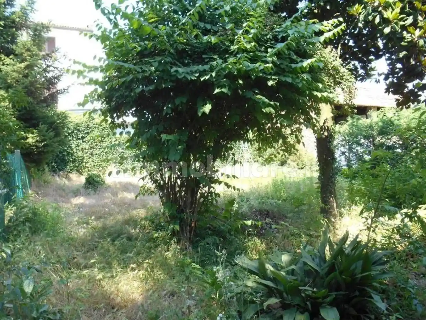 Rustico viale Cremona, 58, Viale Cremona, Pavia - foto 4