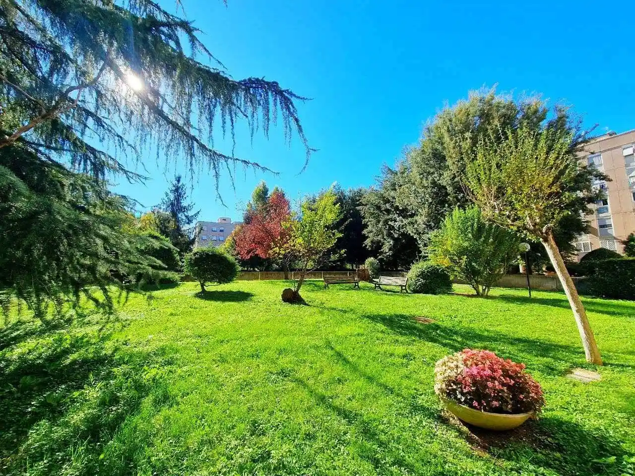 Quadrilocale via Sergio Tofano, Vigne Nuove - Casale Nei, Roma - foto 2