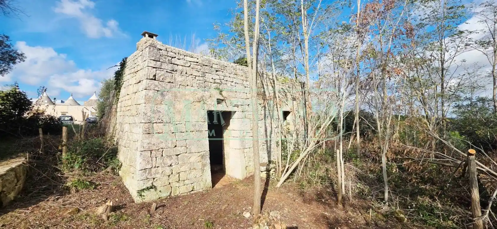 Rustico - Casale in vendita a Martina Franca