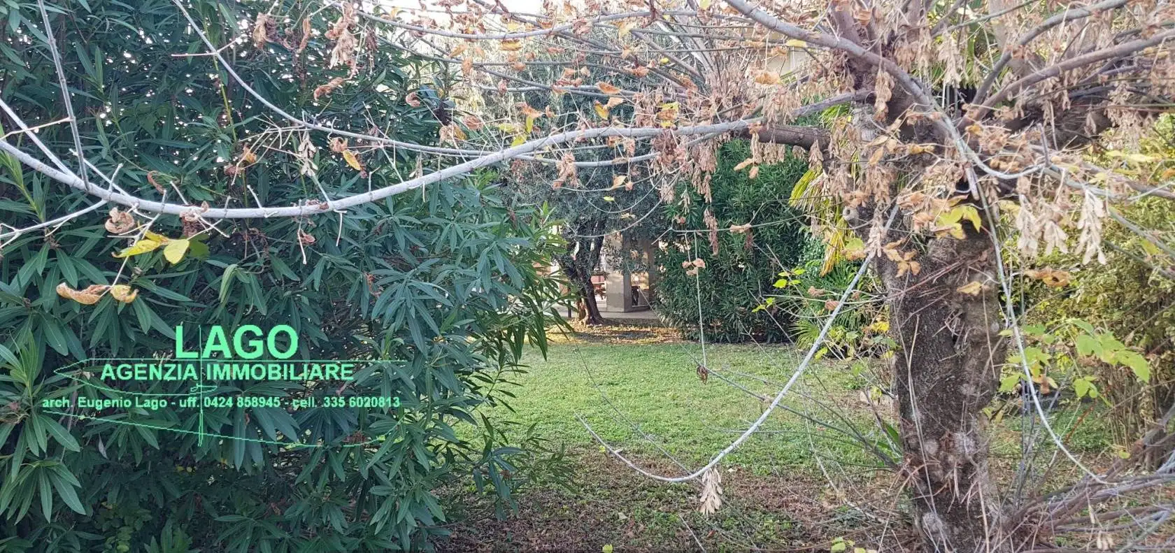 Villa unifamiliare, buono stato, 294 m², Centro, Cartigliano - foto 4