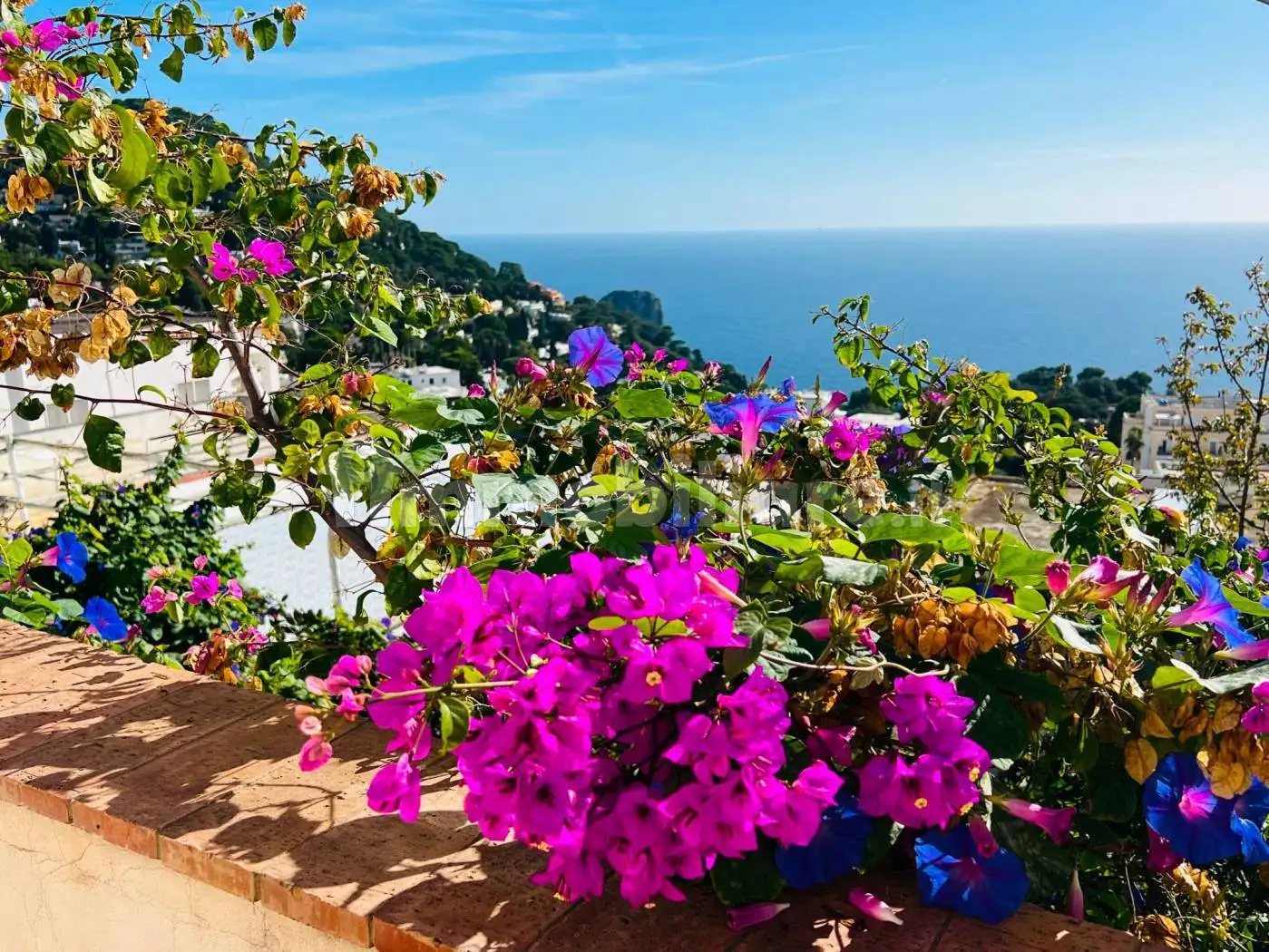 Villetta a schiera in vendita a Capri